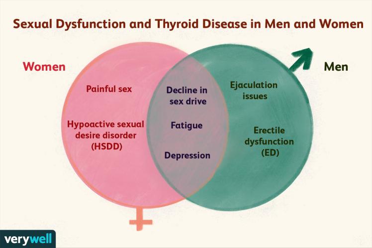 Throyid Induced Erectile Dysfunction